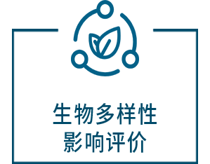 占用林地可研